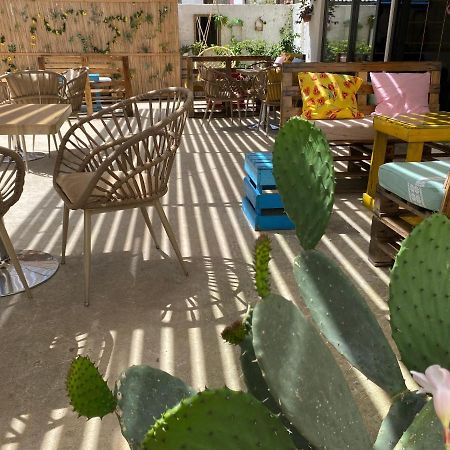 סרנדה Eden Suites & Apartments מראה חיצוני תמונה