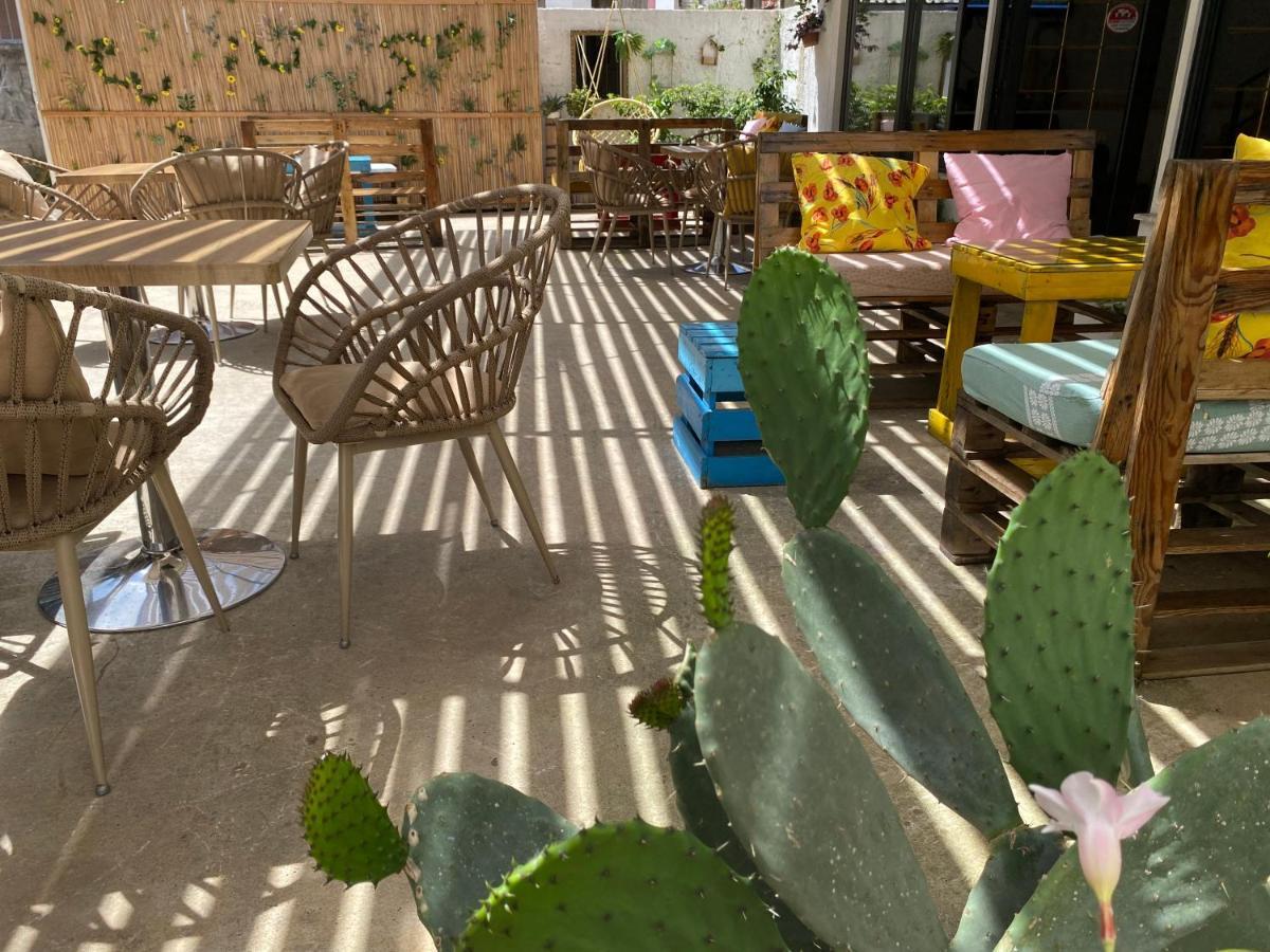 סרנדה Eden Suites & Apartments מראה חיצוני תמונה